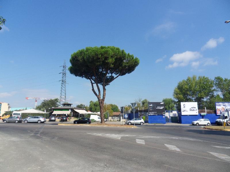 16. C'era un volta.. un sogno... di triangolo verde, 1
