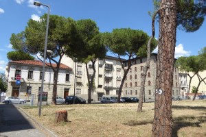 piazza-tronchi-ceppi-e-messaggi-12