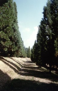 L'ex Sanatorio 'Guido Banti' al tempo della prima lettera-appello al ministro della Sanità Rosy Bindi, settembre 1996, 3