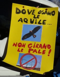 In cammino, 6 novembre 2022 (1)