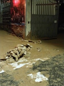 Sorpresa TAV sul Ponte al Pino, Firenze, 12.12.'23, 2