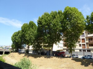 05 - Accerchiamento (2)