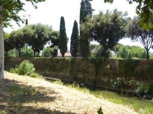 09 - Il secondo filare di lecci e cipressi, sul lato opposto
