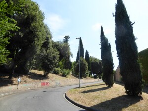 10 - Boschetto della Rimembranza